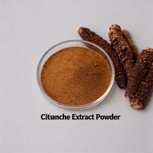 Where to Buy High-Quality Cistanche Extract Powder Online?